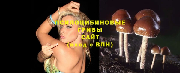 крисы Покров