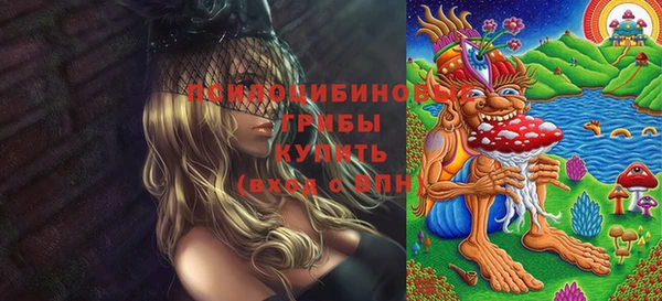 МДПВ Аркадак