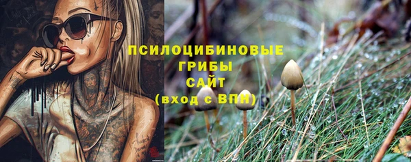 МДПВ Аркадак