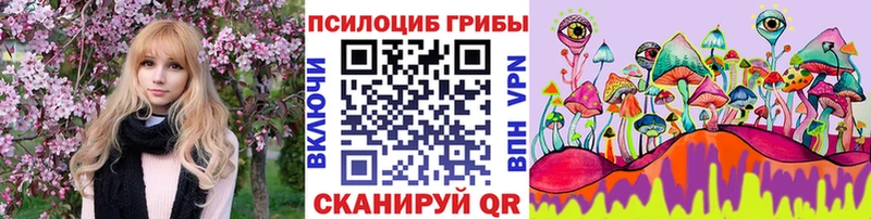 OMG как войти  где купить наркоту  Бавлы  Псилоцибиновые грибы ЛСД 